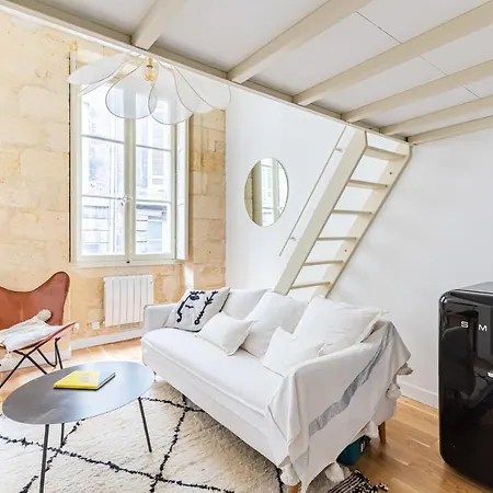 Apartment Pretty Duplex Downtown Miroir D'eau Bordeaux