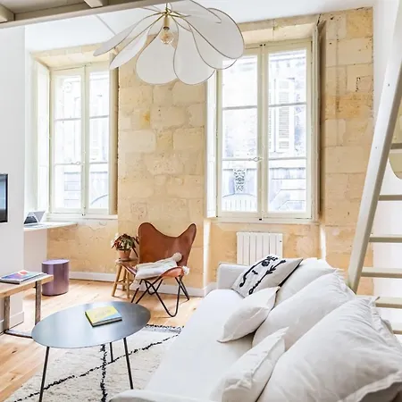 Pretty Duplex Downtown Miroir D'eau Apartment Bordeaux
